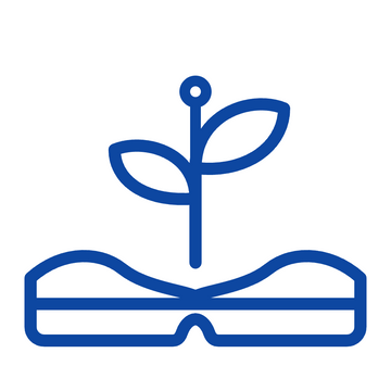 Primary Years Program